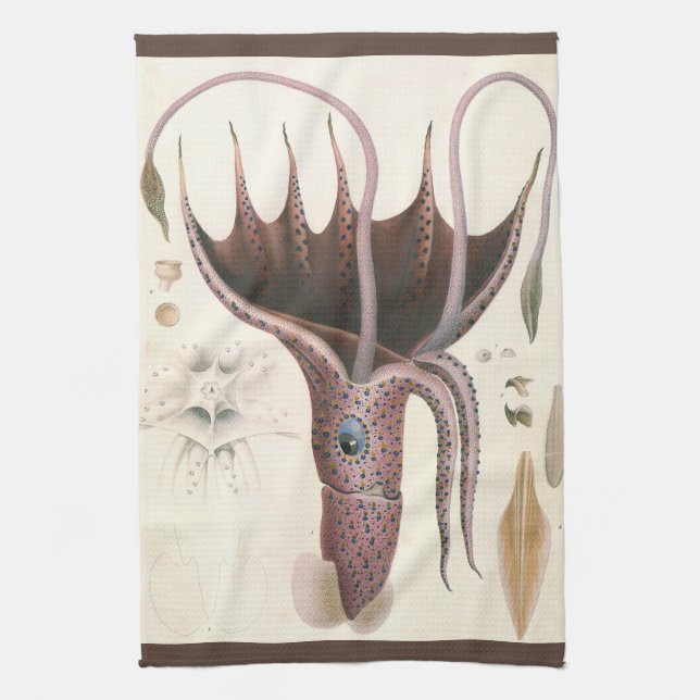 Umbrella Squid, Vintage Marine Life Animals Kitchen Towel (Vertical)