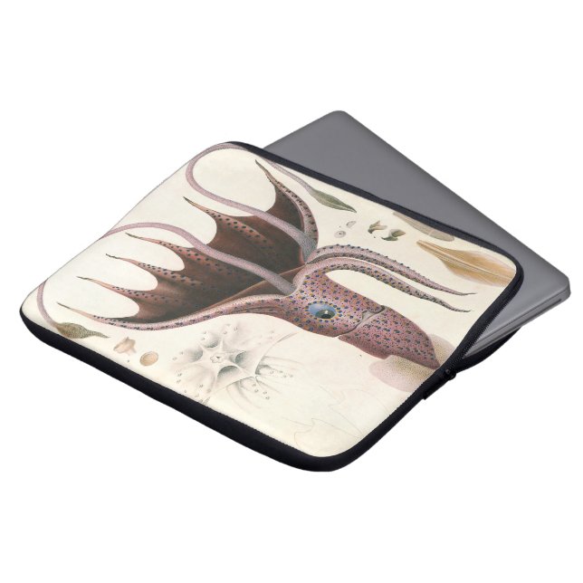 Umbrella Squid, Vintage Marine Life Animals Laptop Sleeve (Front Top)