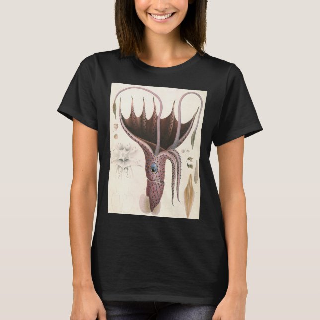 Umbrella Squid, Vintage Marine Life Animals T-Shirt (Front)