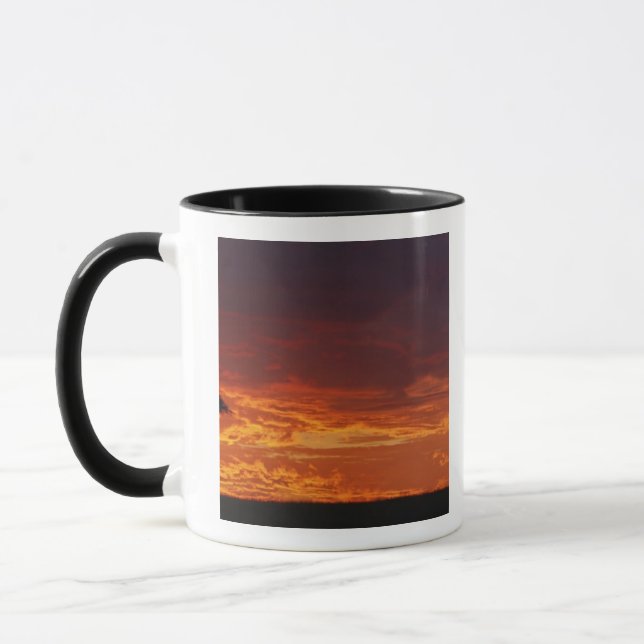 Umbrella Thorn Acacia, Acacia tortilis, 2 Mug (Left)