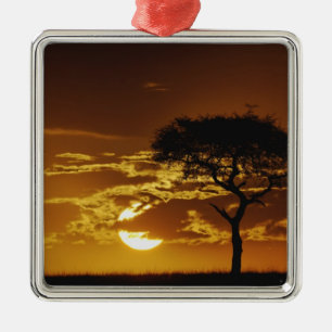 Umbrella Thorn Acacia, Acacia tortilis, Metal Ornament