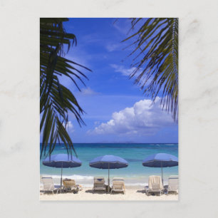 umbrellas on beach, St. Maarten, Caribbean Postcard