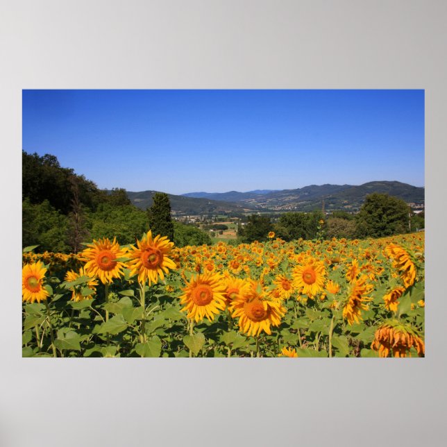 Umbrian Countryside - Italy Print (Front)