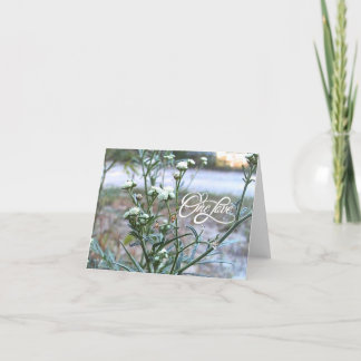 Un amour, Fleur sauvage blanc, carte blanche d'art