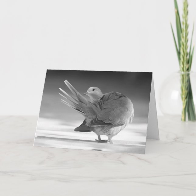 Un ange dans la carte du ciel I (Devant)