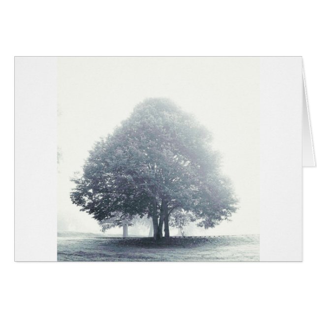 Un arbre dans le brouillard (Devant horizontal)