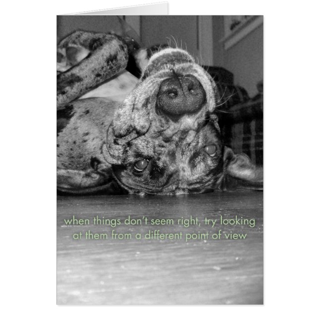 Un autre point de vue (Devant)