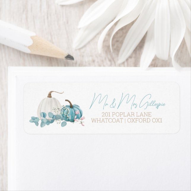 Un Baby shower Automne Un Peu Citrouille (En situation)