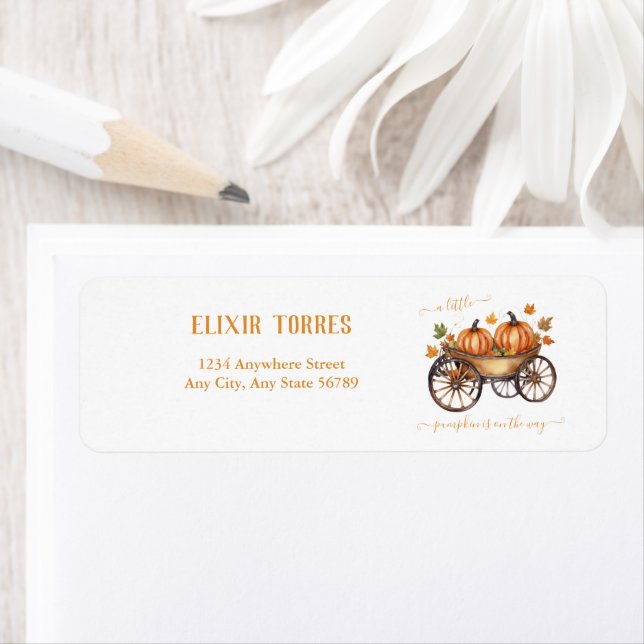 Un Baby shower D'Automne Un Peu Citrouille Neutre  (En situation)