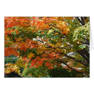 Un beau jour d'automne à Salem, mA