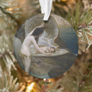 Un bébé aquatique retrouvé dans un coquillage par