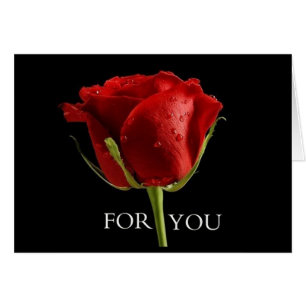 UN BEL ROSE POUR ***MEILLEUR AMI** À L'ANNIVERSAIR