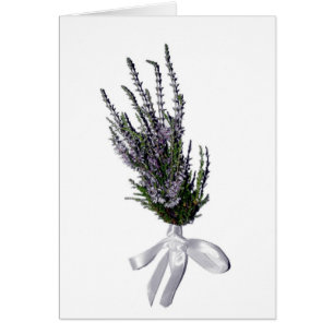 Un brin de Heather d'Ecosse