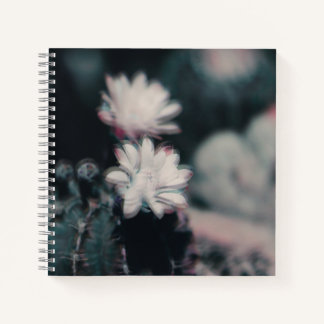 Un cahier