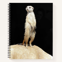 Un cahier suricate excentrique