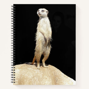 Un cahier suricate excentrique