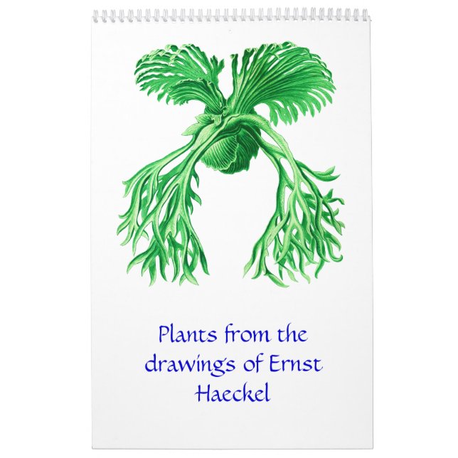 Un calendrier 2012 des dessins de plante (Protection)