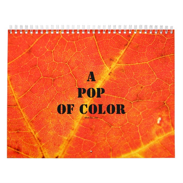 Un calendrier couleur (Protection)