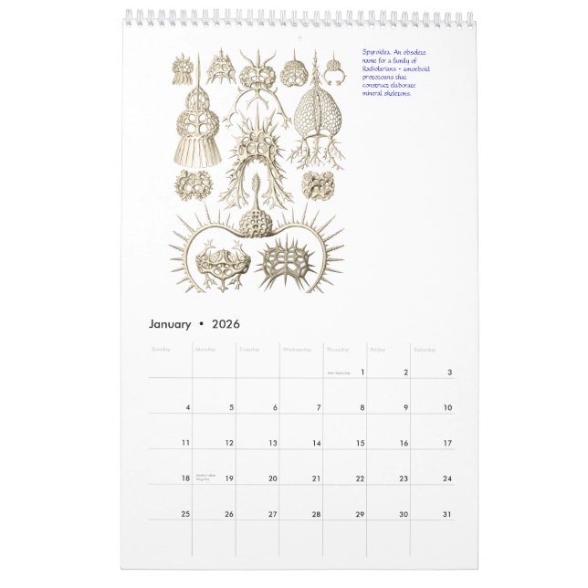 Un calendrier des dessins d'Ernst Haeckel. (Jan 2026)