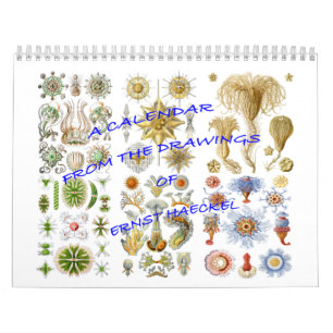 Un calendrier des dessins d'Ernst Haeckel