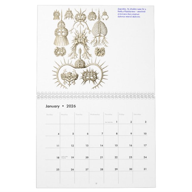 Un calendrier des plantes et des animaux (Jan 2026)