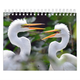 Un calendrier sauvage avec des photos de la faune