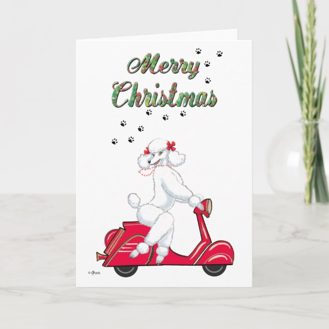 Un caniche blanc sur les cartes de Noël du Scooter (Devant)