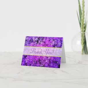 Un champ de Merci de marguerites violettes et rose