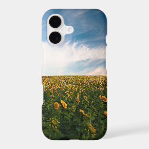 un champ de tournesols magnifiques avec un ciel bl
