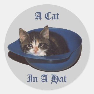 Un chat dans un Sticker Casquette