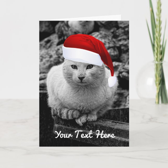 Un chat noir et blanc avec des cartes de voeux de (Devant)