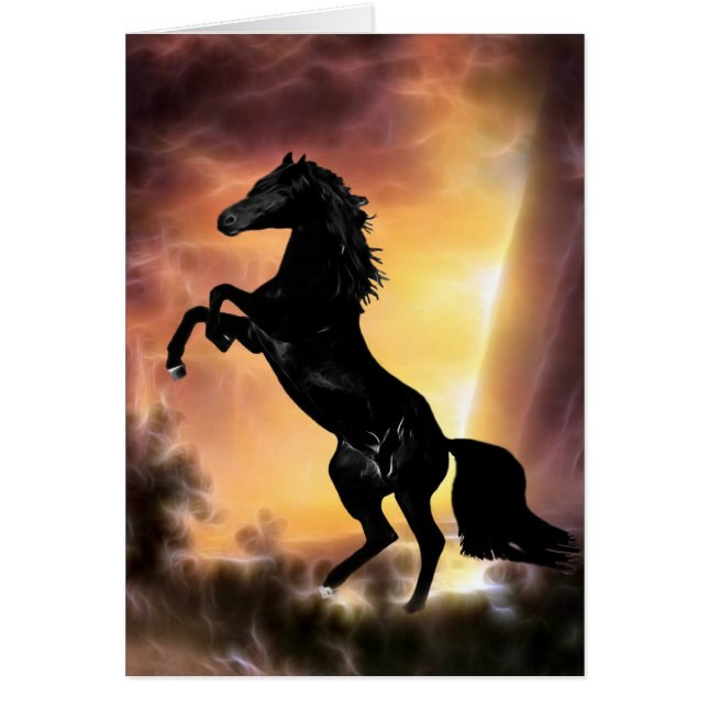 Un cheval de Stallion friésien (Devant)