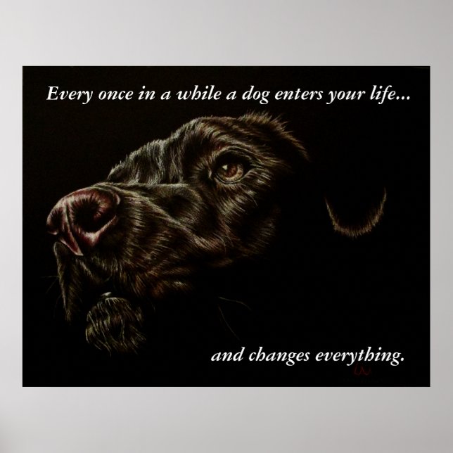 Un chien entre dans votre vie - Poster de chien no (Devant)