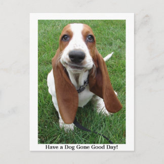 Un chien est parti pour la bonne journée ! Carte p
