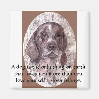 Un chien est un aimant 2