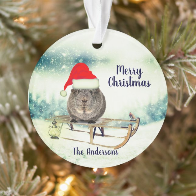 Un cochon de Guinée sur un ornement de Noël en tra (Arbre)