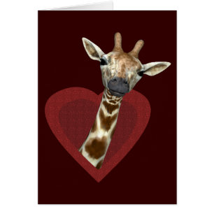 Un Coeur Pour Les Giraffes