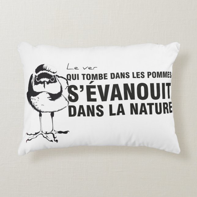 Un coussin à double sens pour amuser l'intérieur (Devant)