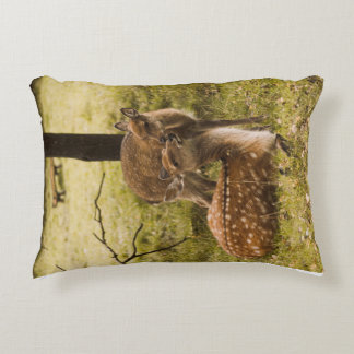 Un coussin de cerfs pour les enfants