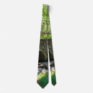 Un Cravate de pont de sentier forestier