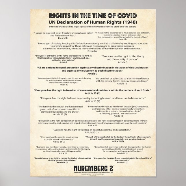 UN Declaration On Human Rights 1948 X Small Poster (Front)