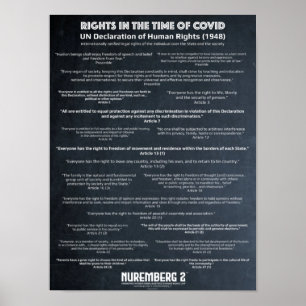 UN Declaration On Human Rights 1948 X Small Poster