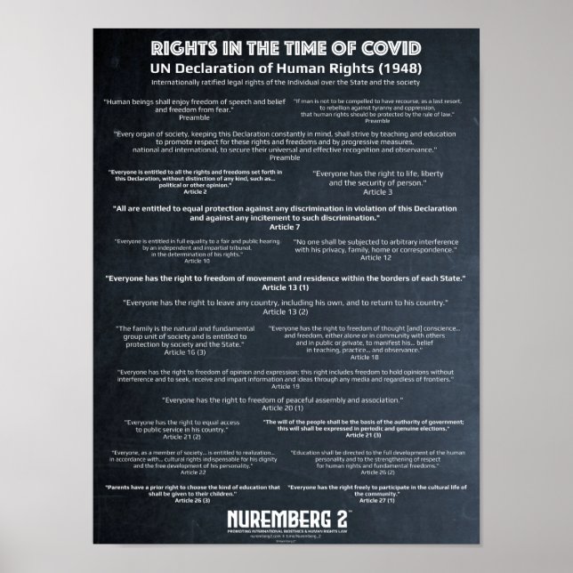 UN Declaration On Human Rights 1948 X Small Poster (Front)