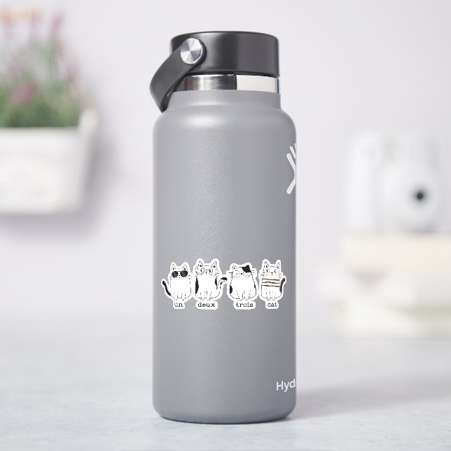 un deux trois cat four funny glasses french pun (HydroFlask)