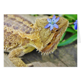 Un Dragon Joli