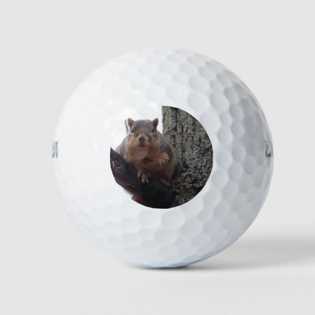 Un écureuil regardant votre balle de golf (Devant)