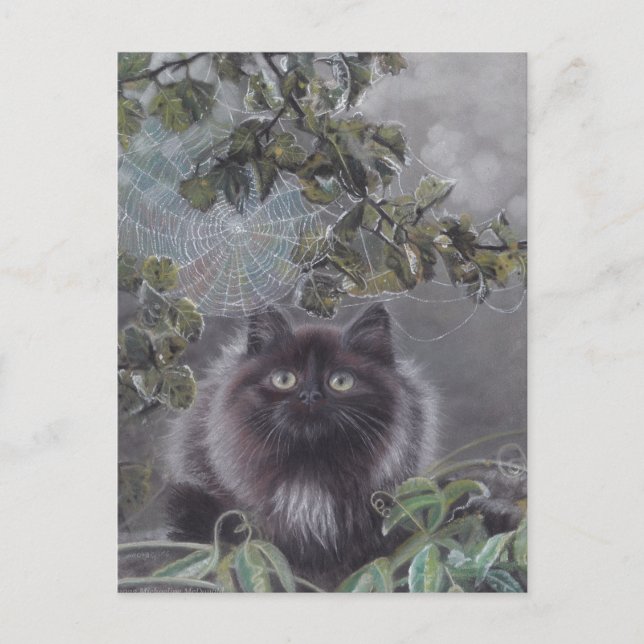 Un endroit calme - Carte postale Kitten et Spiderw (Devant)