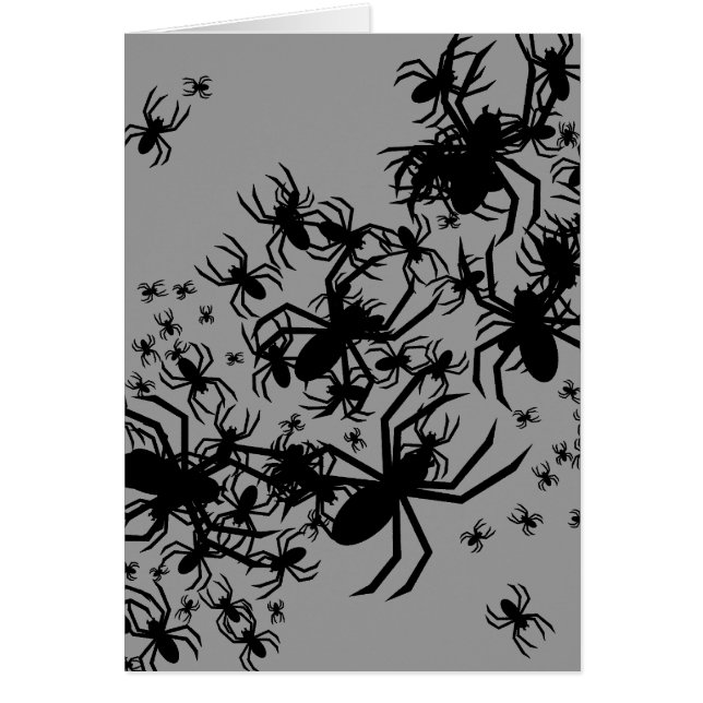 Un Ensemble D'Araignées (Devant)