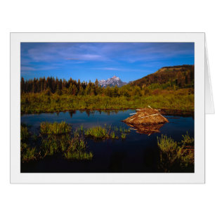 "Un été à Teton"