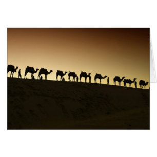 Un groupe de chameliers avec leurs chameaux